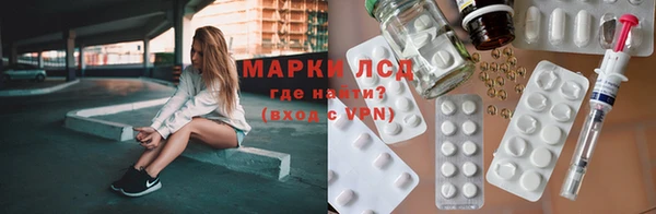 спиды Горняк