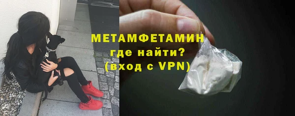 твердый Вяземский