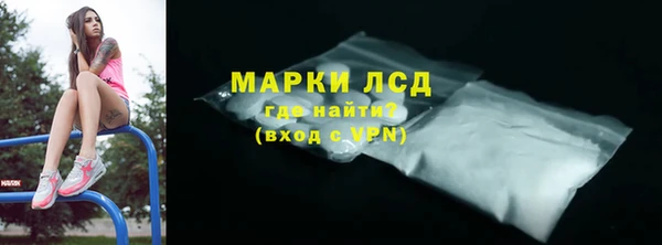 твердый Вяземский