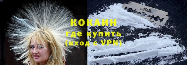 твердый Вяземский