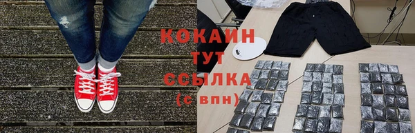твердый Вяземский