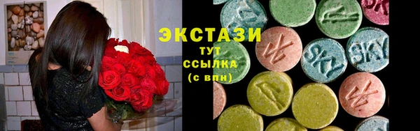 твердый Вяземский
